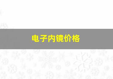 电子内镜价格