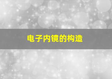 电子内镜的构造