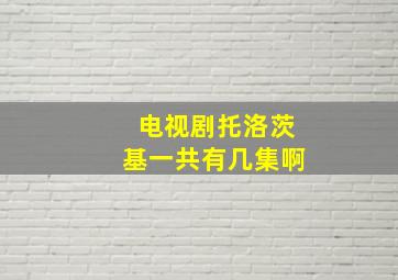 电视剧托洛茨基一共有几集啊