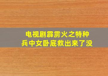 电视剧霹雳火之特种兵中女卧底救出来了没