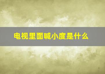 电视里面喊小度是什么