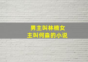 男主叫林楠女主叫何淼的小说