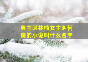 男主叫林楠女主叫何淼的小说叫什么名字