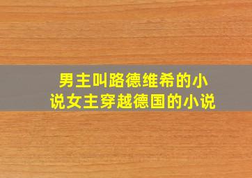 男主叫路德维希的小说女主穿越德国的小说