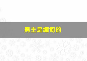 男主是缅甸的