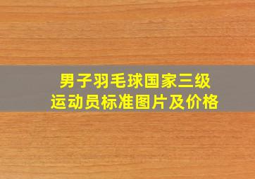 男子羽毛球国家三级运动员标准图片及价格