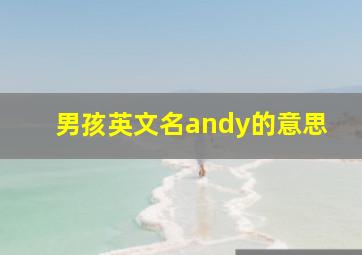 男孩英文名andy的意思