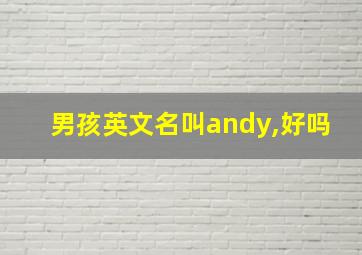 男孩英文名叫andy,好吗