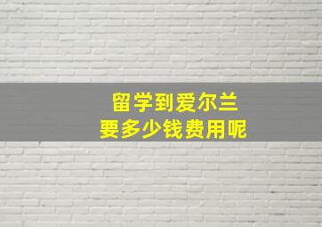 留学到爱尔兰要多少钱费用呢