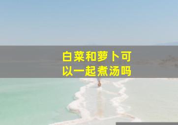 白菜和萝卜可以一起煮汤吗