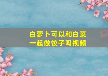 白萝卜可以和白菜一起做饺子吗视频