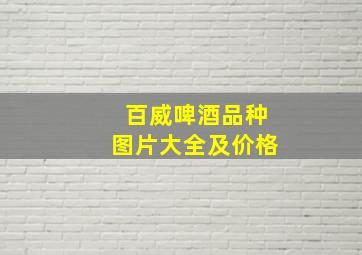 百威啤酒品种图片大全及价格