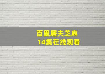 百里屠夫芝麻14集在线观看