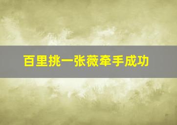 百里挑一张薇牵手成功