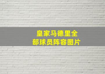 皇家马德里全部球员阵容图片