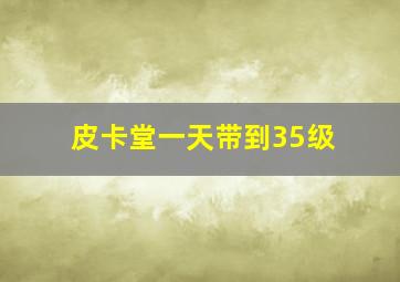 皮卡堂一天带到35级