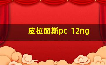 皮拉图斯pc-12ng