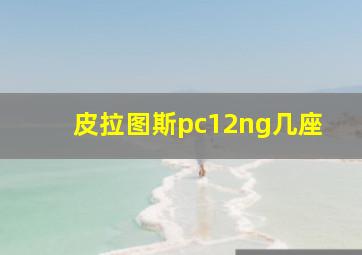 皮拉图斯pc12ng几座