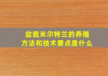 盆栽米尔特兰的养殖方法和技术要点是什么