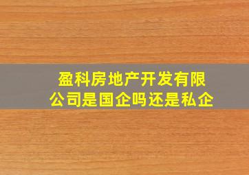 盈科房地产开发有限公司是国企吗还是私企