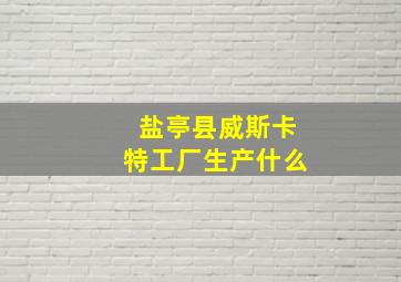 盐亭县威斯卡特工厂生产什么