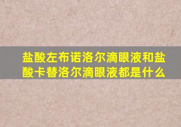 盐酸左布诺洛尔滴眼液和盐酸卡替洛尔滴眼液都是什么