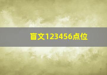 盲文123456点位