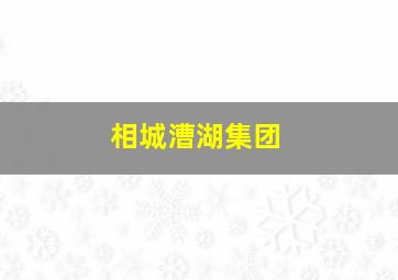 相城漕湖集团