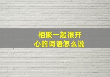 相聚一起很开心的词语怎么说