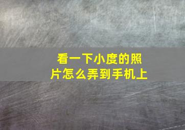 看一下小度的照片怎么弄到手机上