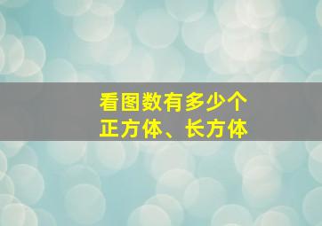 看图数有多少个正方体、长方体