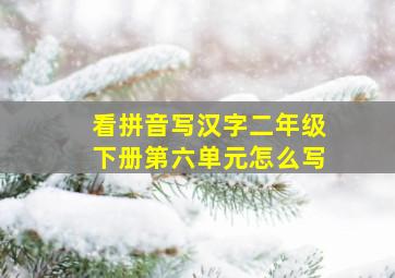 看拼音写汉字二年级下册第六单元怎么写