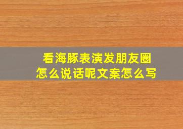 看海豚表演发朋友圈怎么说话呢文案怎么写