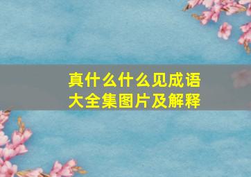 真什么什么见成语大全集图片及解释