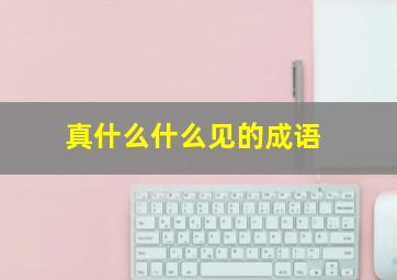 真什么什么见的成语