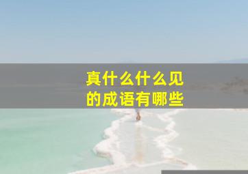 真什么什么见的成语有哪些