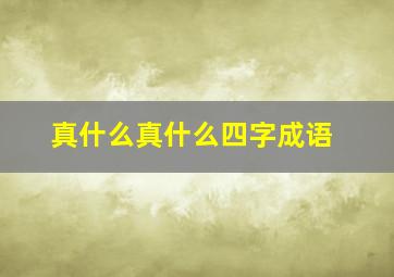 真什么真什么四字成语