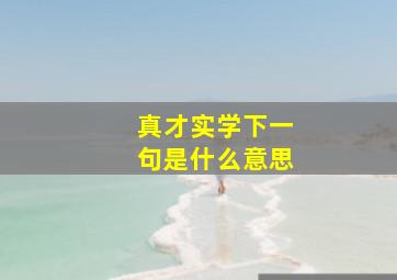 真才实学下一句是什么意思