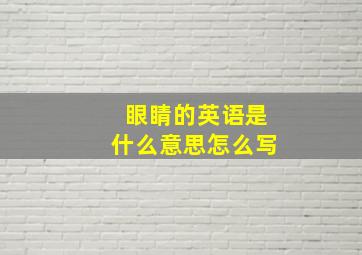 眼睛的英语是什么意思怎么写