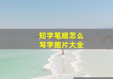 知字笔顺怎么写字图片大全