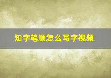 知字笔顺怎么写字视频