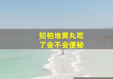 知柏地黄丸吃了会不会便秘