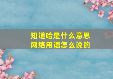 知道哈是什么意思网络用语怎么说的