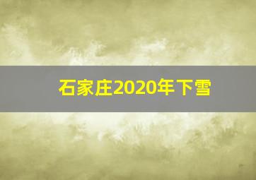 石家庄2020年下雪