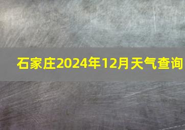 石家庄2024年12月天气查询