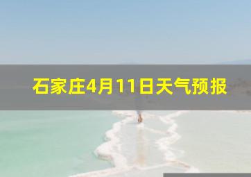 石家庄4月11日天气预报