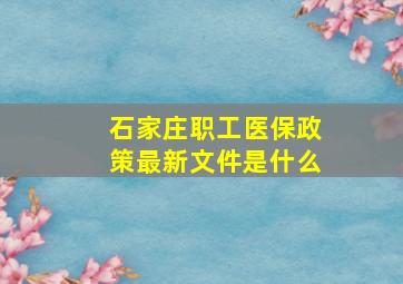 石家庄职工医保政策最新文件是什么