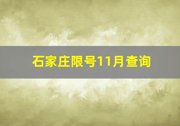 石家庄限号11月查询