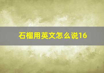 石榴用英文怎么说16