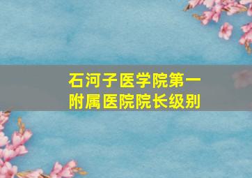 石河子医学院第一附属医院院长级别